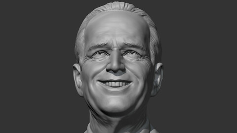 Joe Biden 3D print model