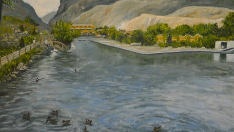 Ducks on the Sulak river (.jpg)