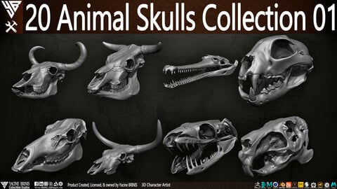 20 Animal Skulls Collection 01