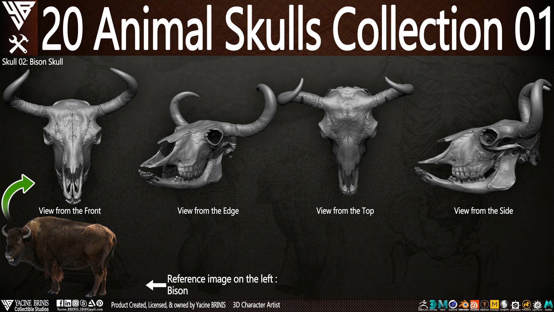 ArtStation - 20 Animal Skulls Collection 01 | Resources
