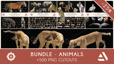Bundle: PNG Photo Packs - Animals