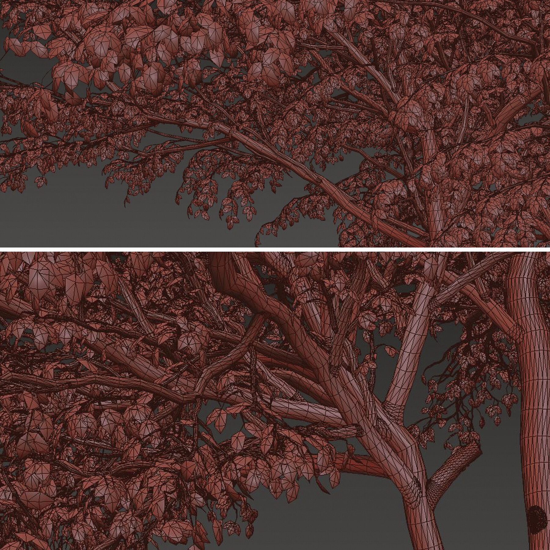 ArtStation Set of Rhus chinensis Trees ( Chinese sumac ) ( 2 Trees