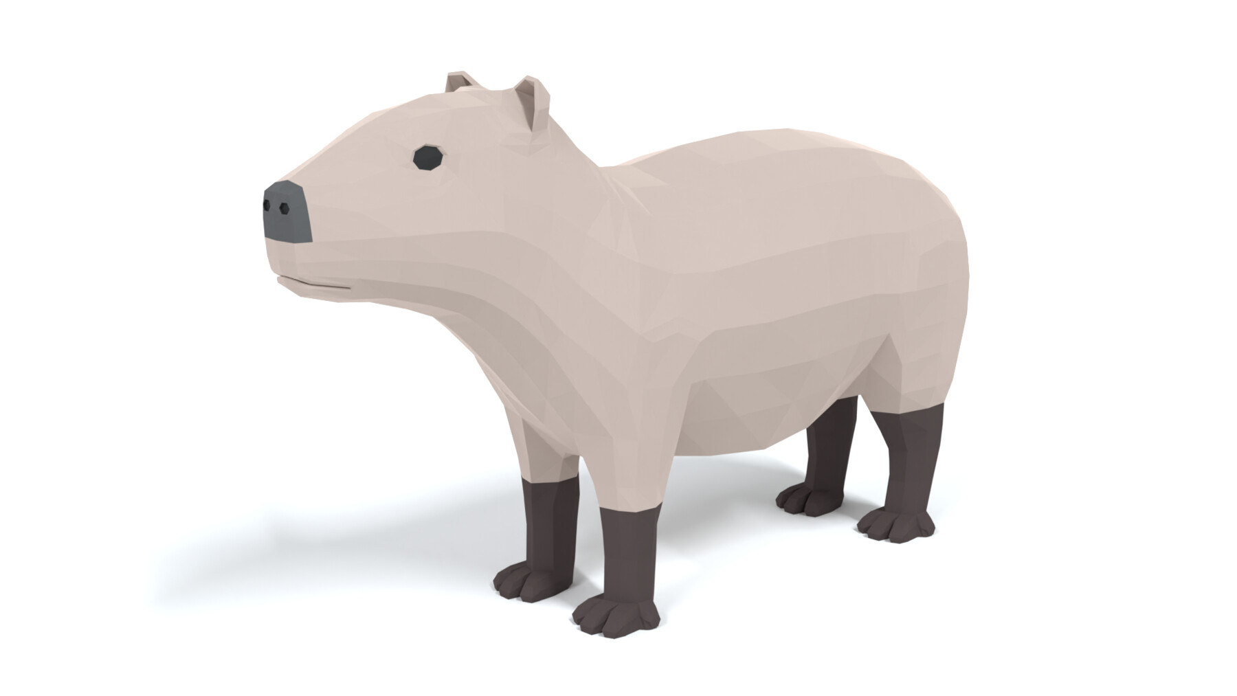 Capybara PNG - capybara-maps capybara-coloring-page capybara