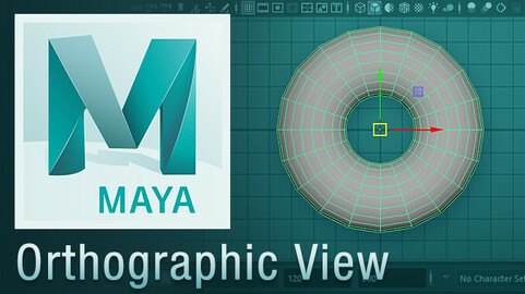 Orthogaphic View Script for Maya