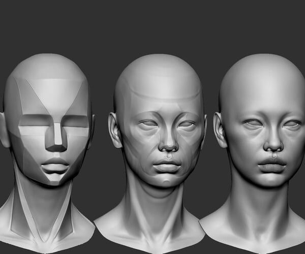 ArtStation - female head anatomy | Resources