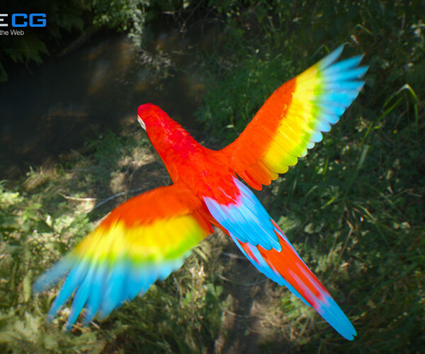 ArtStation - Animated Red Parrot | Game Assets