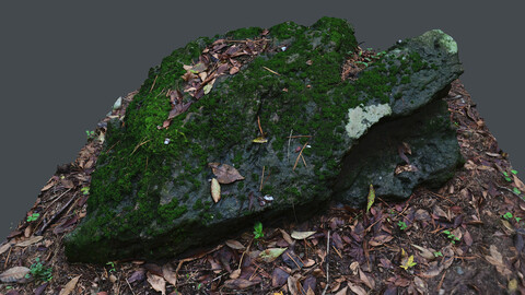 Rock_0019(Photogrametry.Photoscan.obj,Photo)