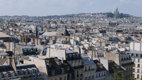 Paris Roofs