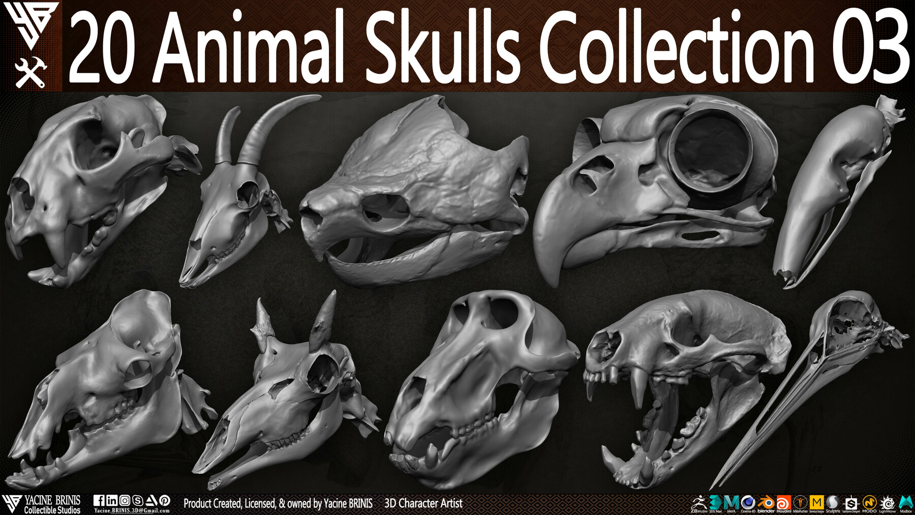 ArtStation - 20 Animal Skulls Collection 03 | Resources