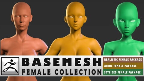 Basemesh Female Collection