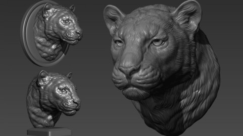 Panther leopard head