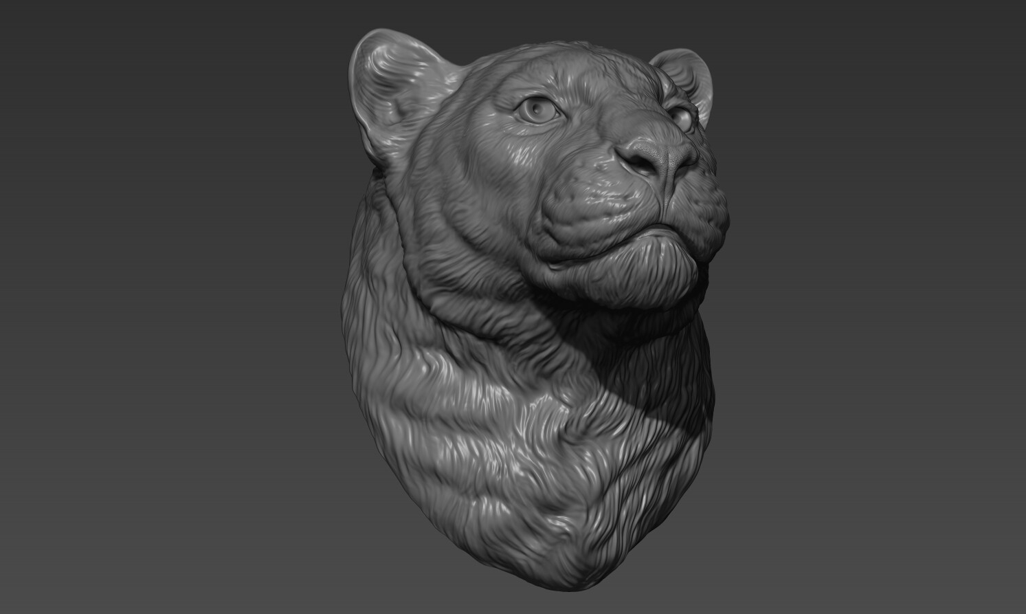 ArtStation - Panther leopard head | Resources