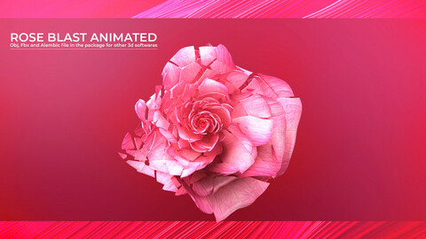 Rose Blast Animated
