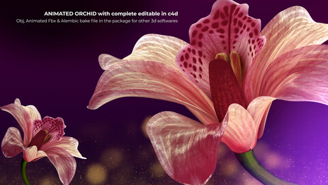 Beautiful Animated Orchid Flower 3D model