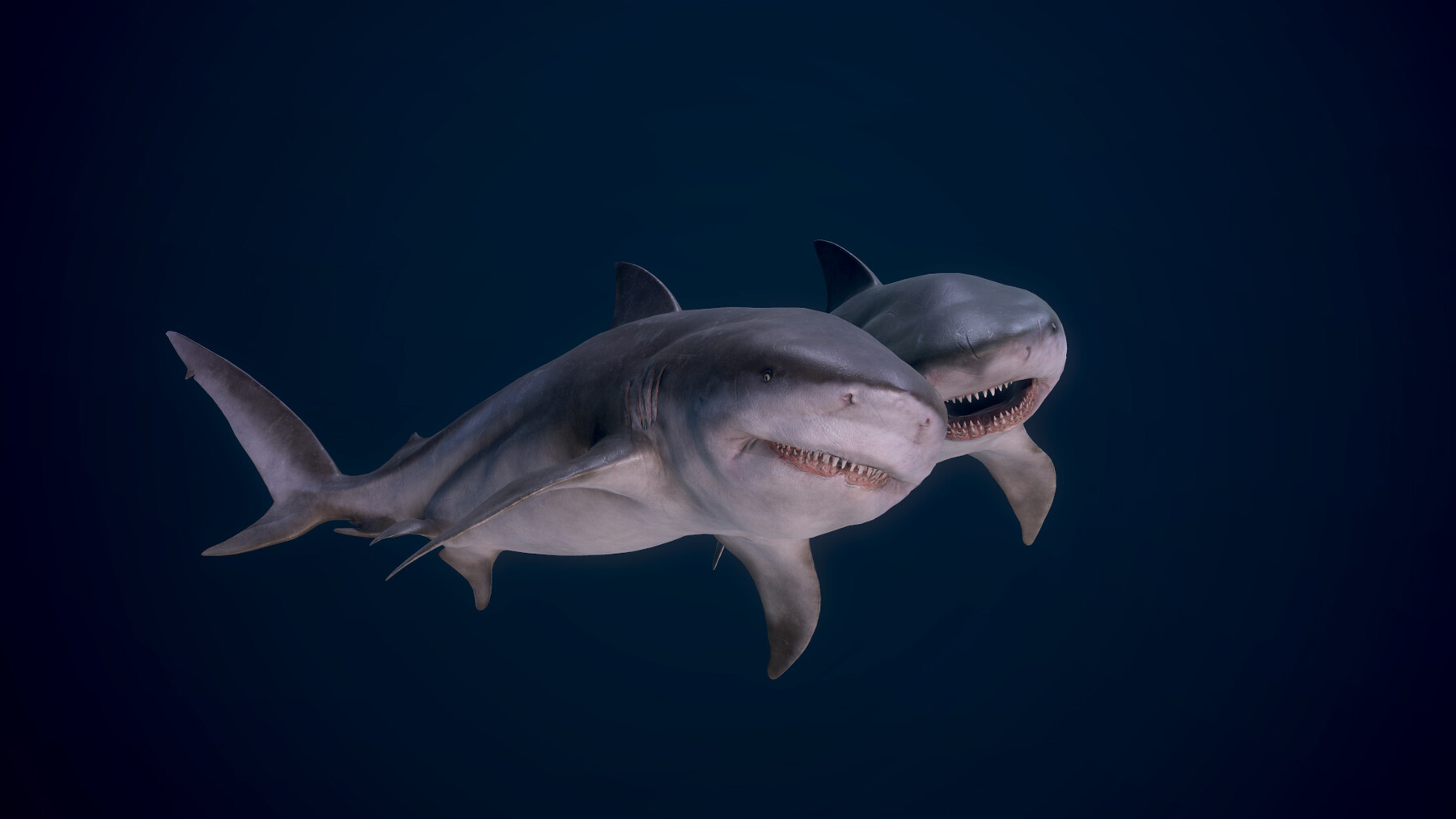 ArtStation - Shark