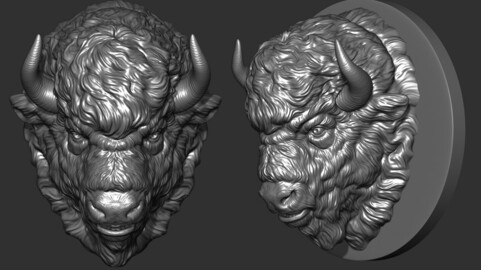 Bison angry head