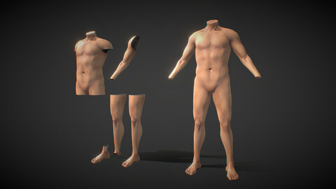 Fit Male Anatomy - Body parts pack