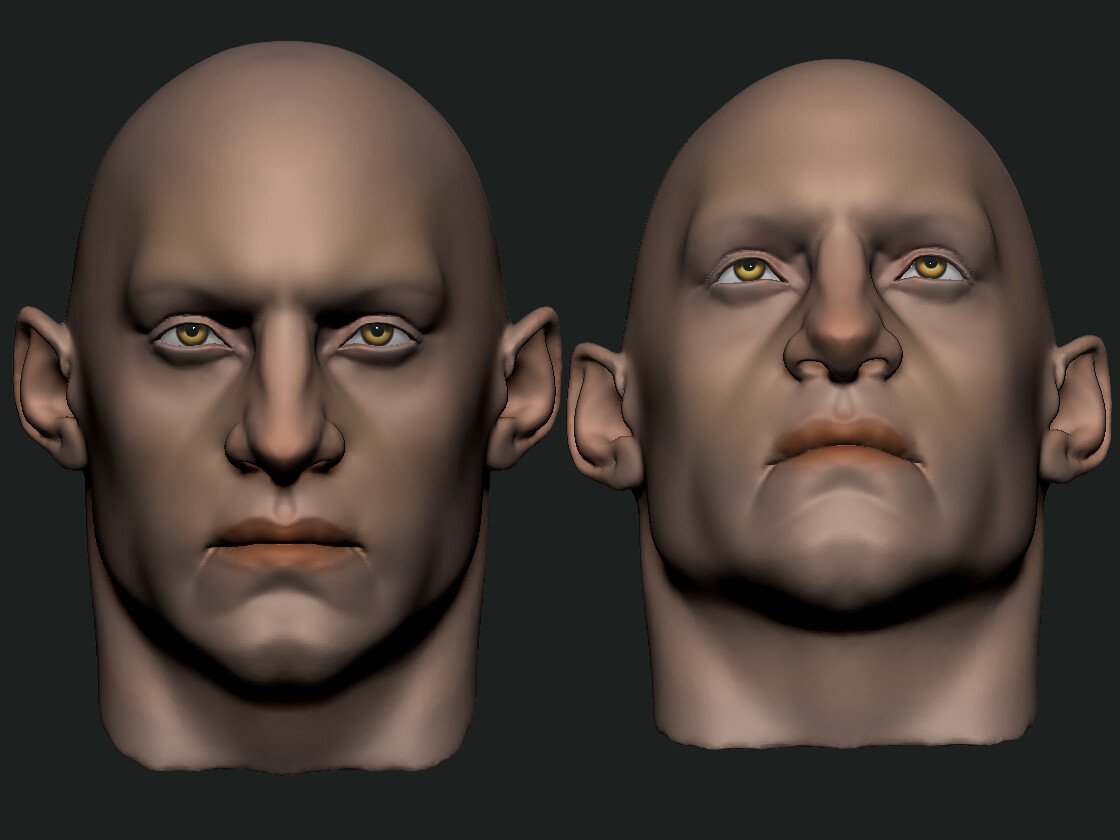 ArtStation - Stylized head | Resources