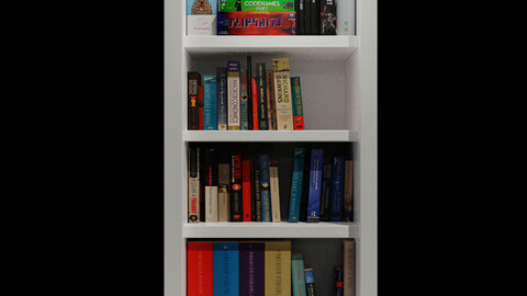 Book Shelf with books