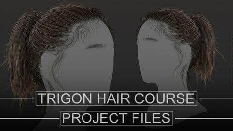 Trigon Real Time Hair Course - Project Files