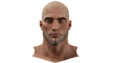 Carlos Realistic model of male head