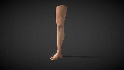 Fit Male Anatomy - Leg and Foot base mesh
