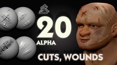 Alpha package cuts, wounds for modeling objects