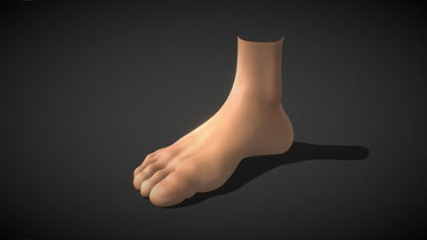 Fit Male Anatomy - Foot base mesh