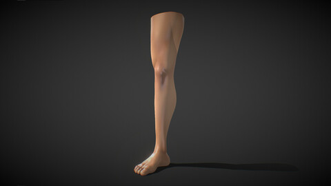 Fit Male Anatomy - Leg and Foot base mesh