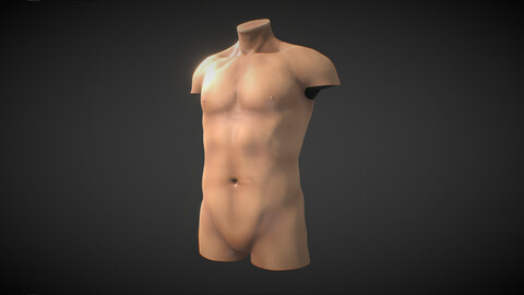 Fit Male Anatomy - Torso base mesh