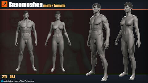 Basemeshes Male/Female