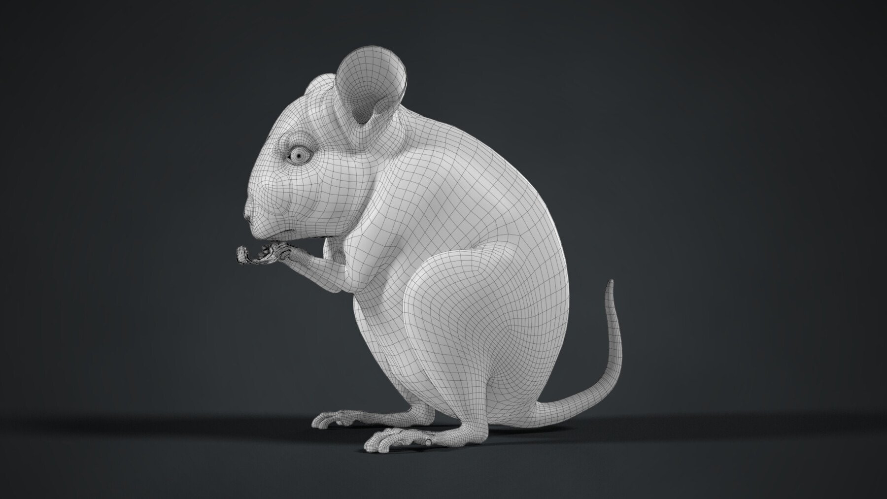 ArtStation - Chinchilla Animated | VFX Grace | Game Assets