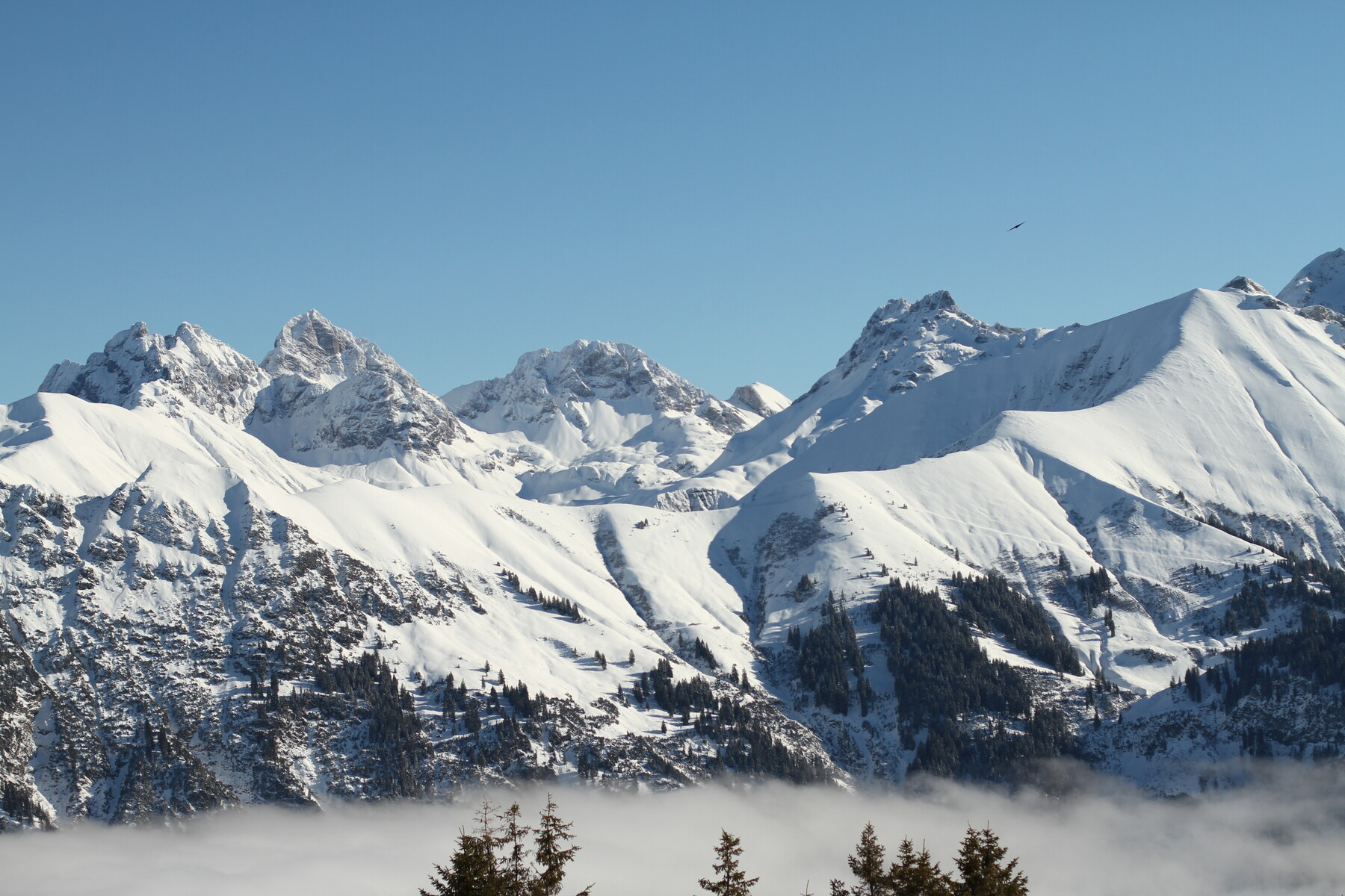 ArtStation Snowy Mountains reference images Resources