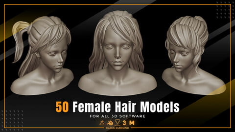 50 Female Hair Models ( %60 OFF) FOR ALL 3D SOFTWARE