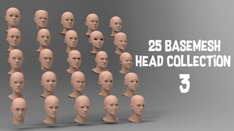 25 Basemesh head collection 3