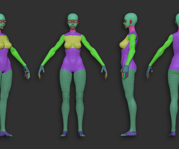 ArtStation - Stylized Female Anatomy + topology and UV | Resources