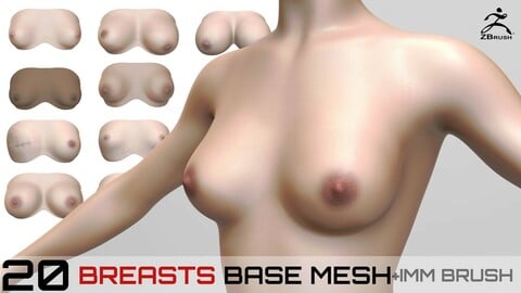 20 BREASTS BASE MESH + IMM BRUSH