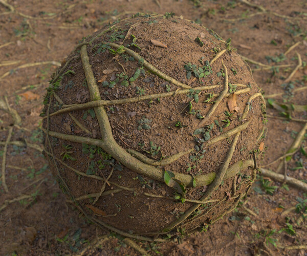 ArtStation - Tree Roots (001) - Photogrammetry Material | Resources