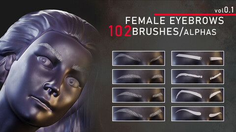 Female eyebrows brushes / alphas