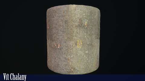 Photogrammetry Tree Bark