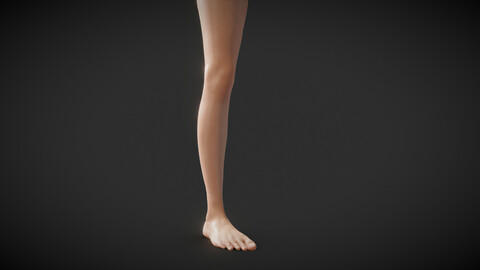 Fit Female Anatomy - Leg and Foot base mesh