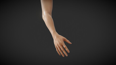 Fit Female Anatomy - Arm and Hand base mesh