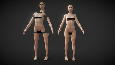 Fit Female Anatomy - Body parts base me