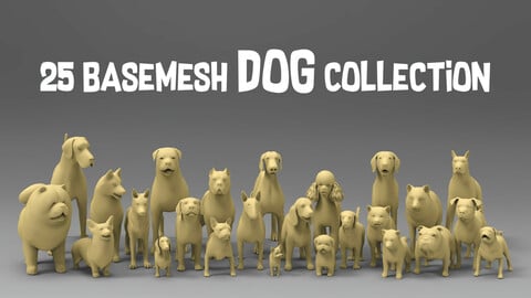 25 Basemesh dog collection