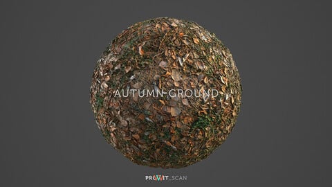 Autumn Ground PBR Material (2 in 1)
