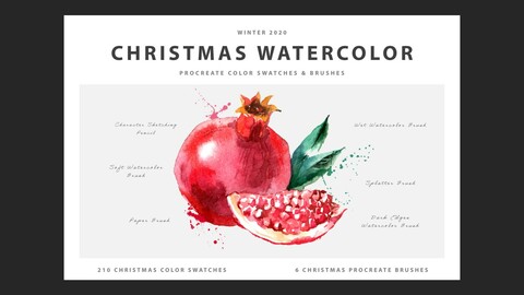 Christmas Watercolor Procreate Kit (2020)