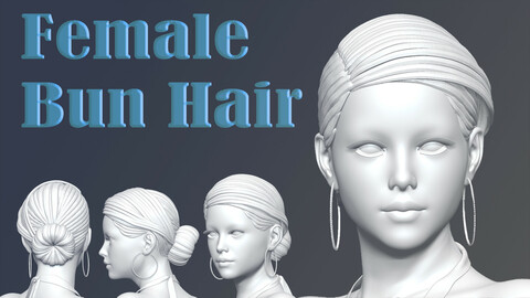 Female Stylized Hair (Bun)