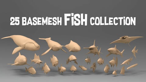25 Basemesh fish collection