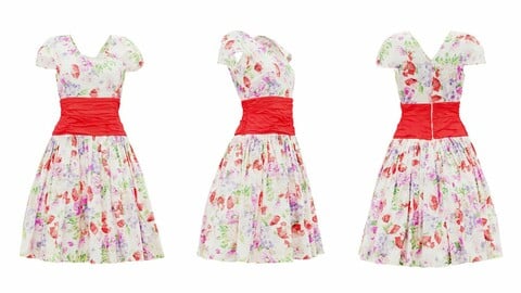 Papaver Dress