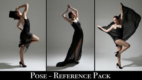 x100  Pose  Reference Pack